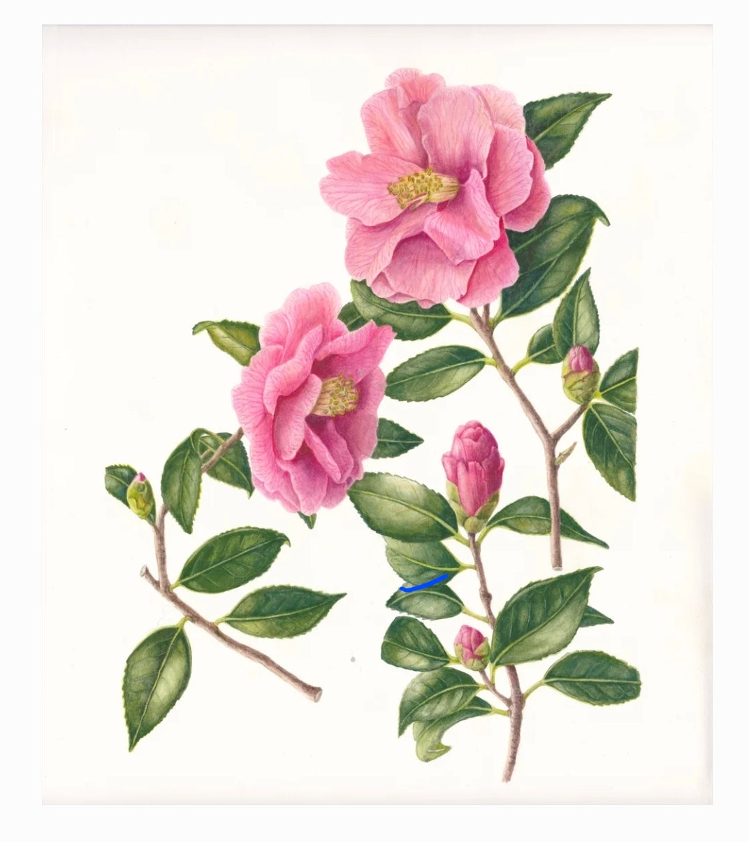 Lily and Camellia Harmony Mini Scarf