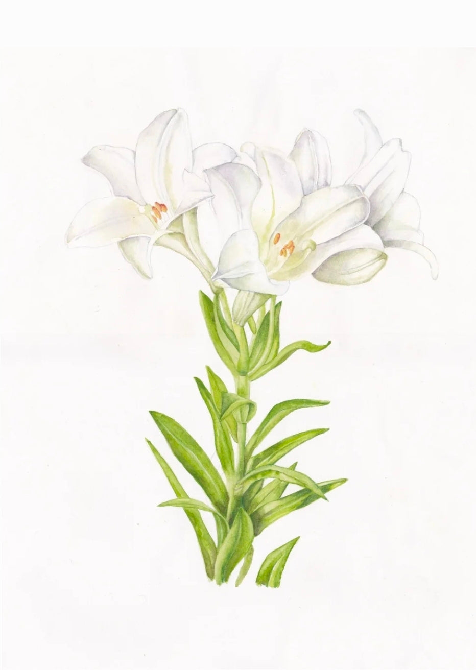 Floral Fantasy - Tan