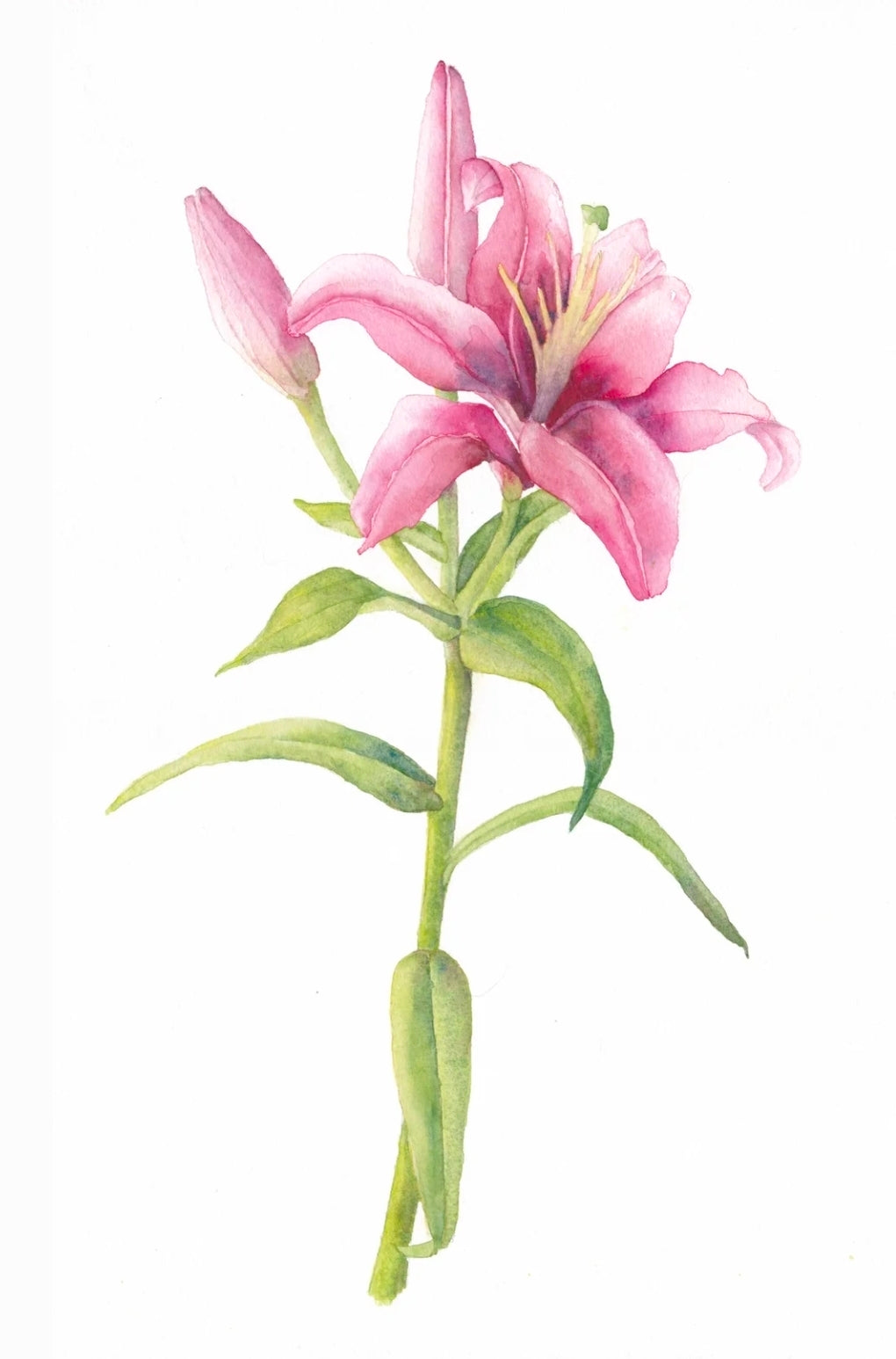 Blossom Harmony - Blue