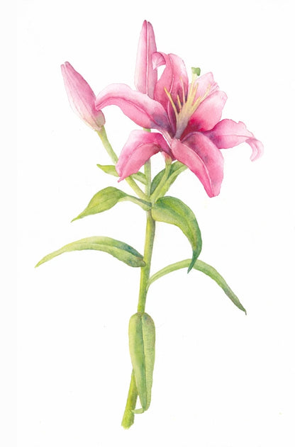 Blossom Harmony - Blue