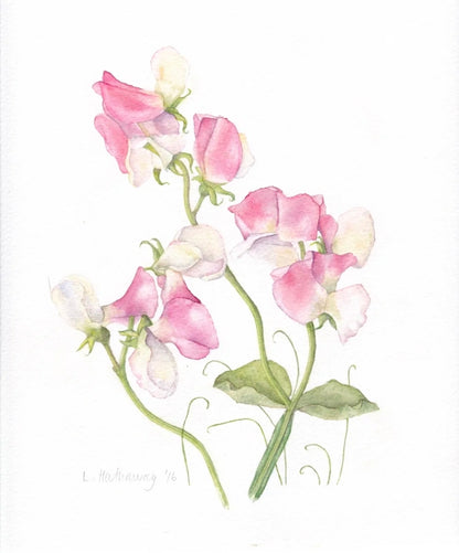 Blossom Harmony - Blue